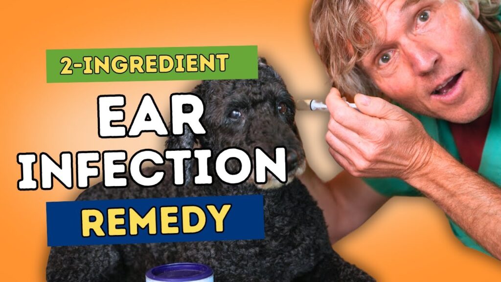 How Can I Treat My Dog's Ear Infection at Home?