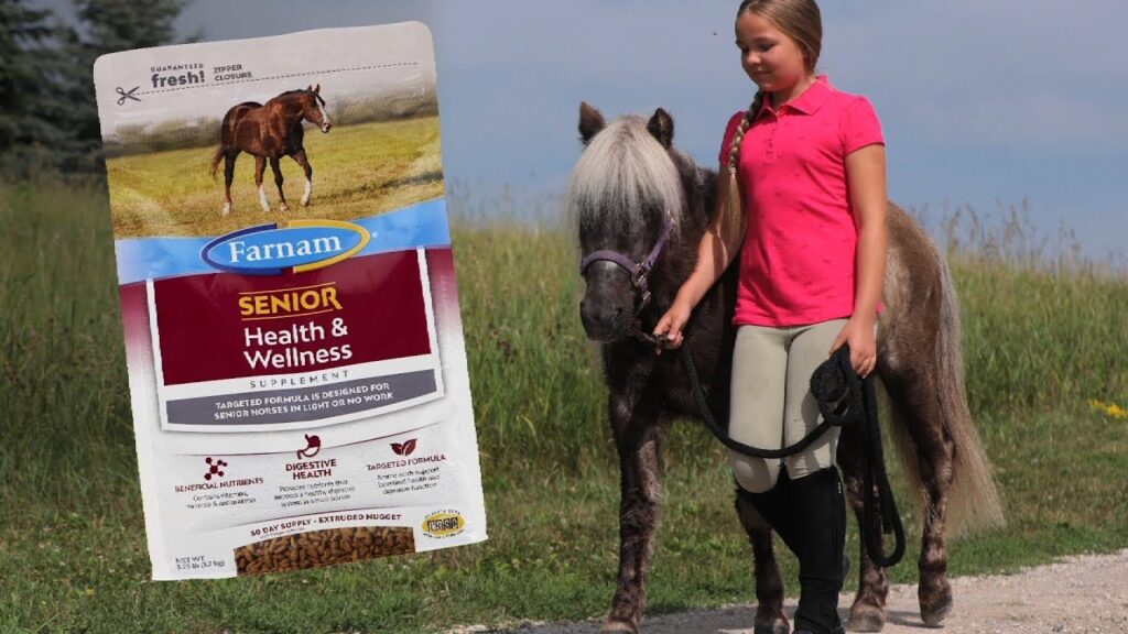 All About Supplements for Horses