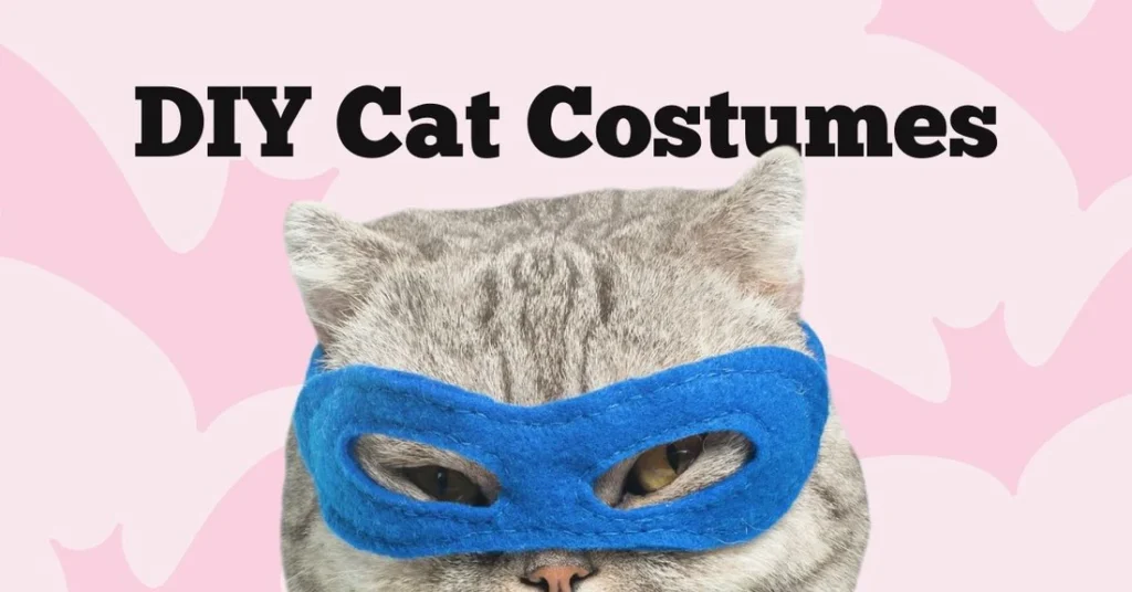 How To Make a Cat Costume at Home?