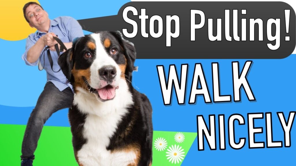 6 Off-Leash Tips For The Dog Park